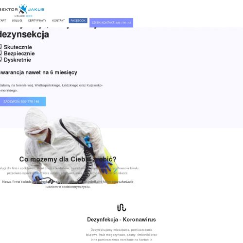 Dezynsekcja w Koninie