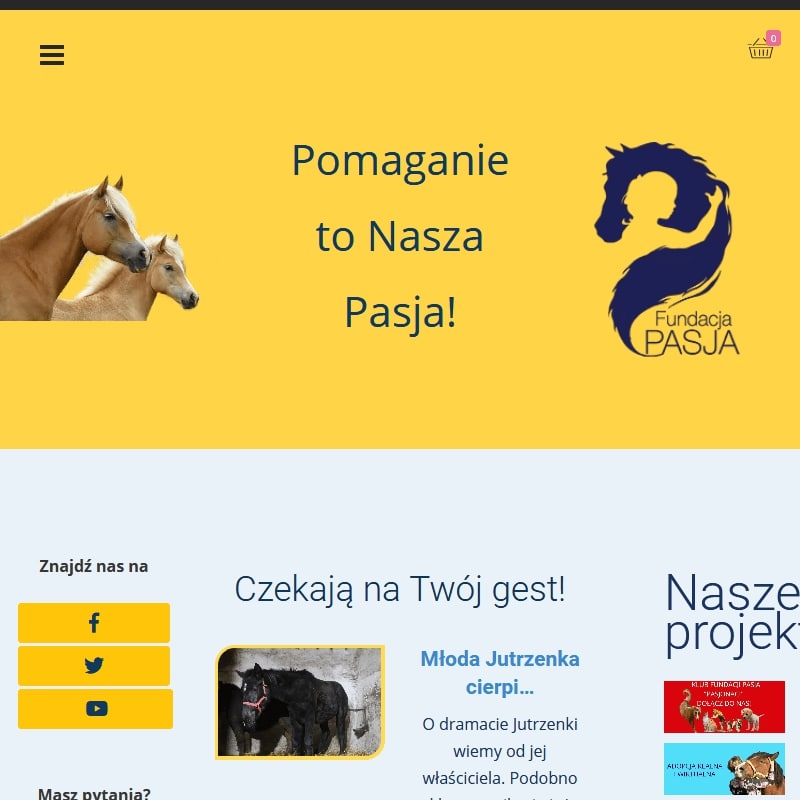 Fundacja pomocy zwierzętom