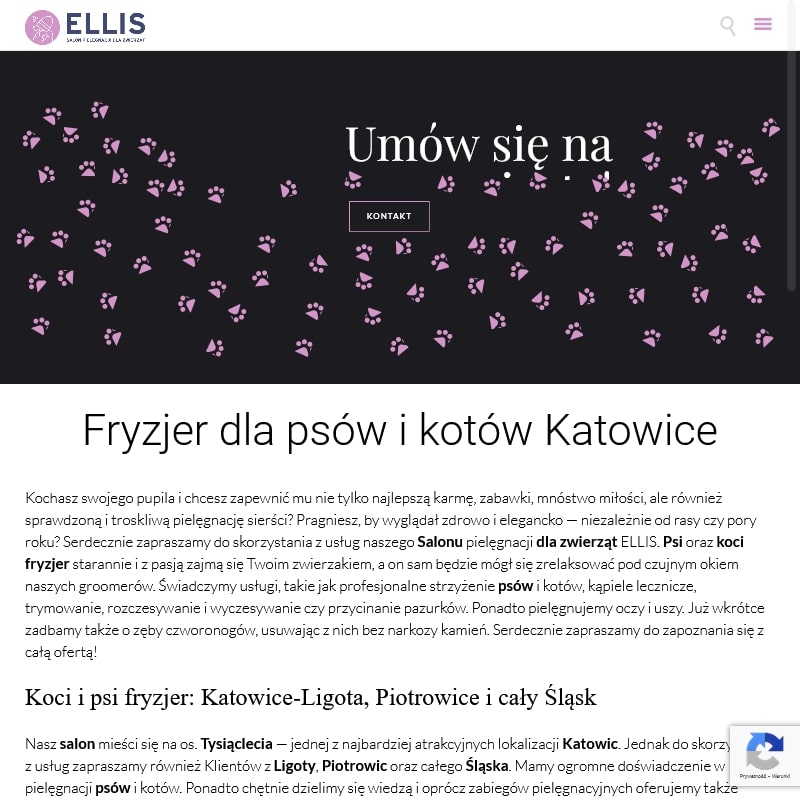Psi fryzjer siemianowice w Katowicach