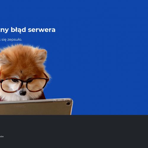 Dzierżoniów - uprawnienia na wózki widłowe