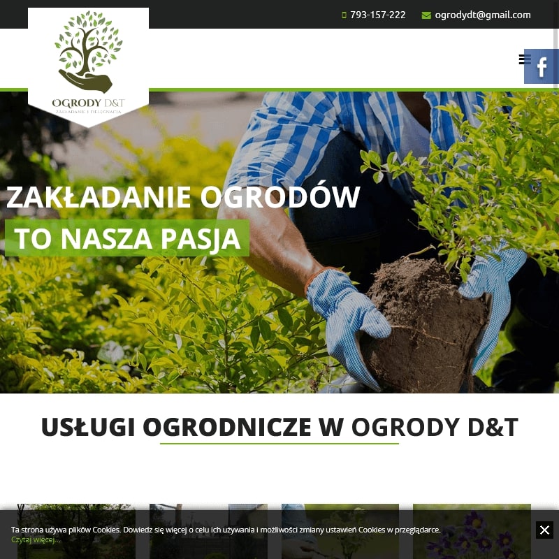 Pielęgnacja trawników - Mińsk Mazowiecki